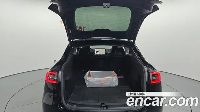 Tesla Y RWD, миниатюра 18