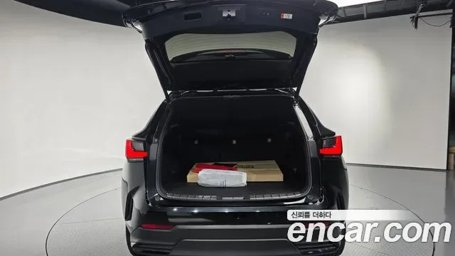 Lexus NX Premium, миниатюра 11