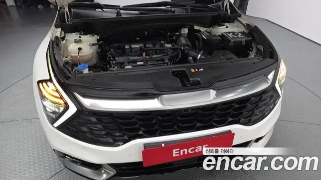 Kia Sportage бензин 1.6 Turbo 2WD Signature, миниатюра 10
