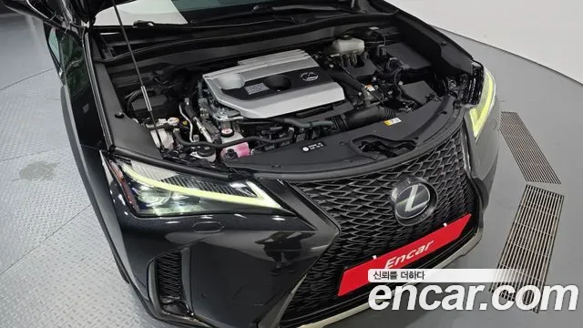 Lexus UX 2.0 F-Sport 2WD, миниатюра 11