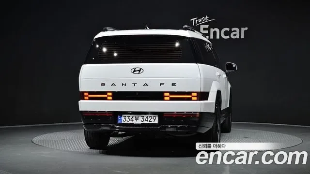 Hyundai Santa FE HEV 1.6 2WD Calligraphy, миниатюра 14