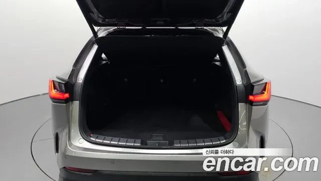 Lexus NX, миниатюра 29