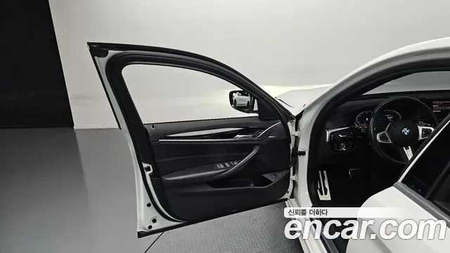 BMW 5 (G30) 520d xDrive M, миниатюра 12
