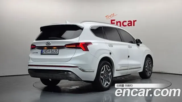 Hyundai Santa FE HEV 1.6 2WD Calligraphy, миниатюра 12