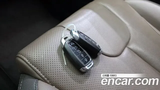 Hyundai Santa FE дизель 2.0 4WD Prestige, миниатюра 21