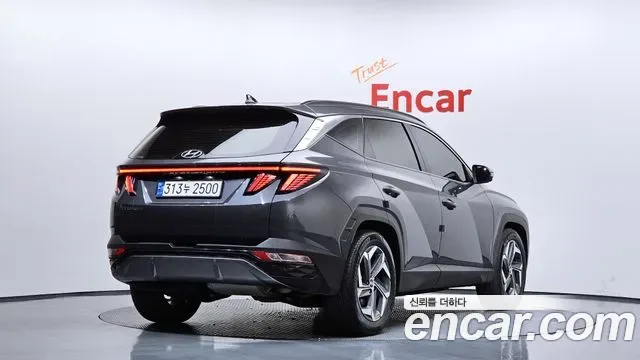 Hyundai TUCSON дизель 2.0 2WD Inspiration, миниатюра 8