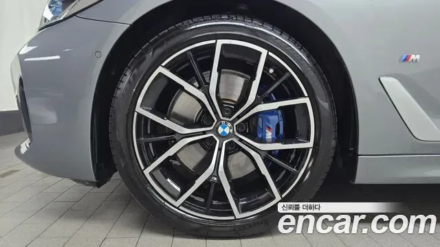 BMW 5 (G30) 530i M, миниатюра 19