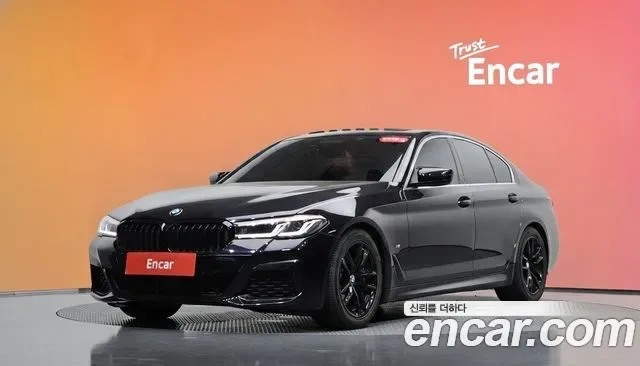 BMW 5 (G30) 520i M, миниатюра 23
