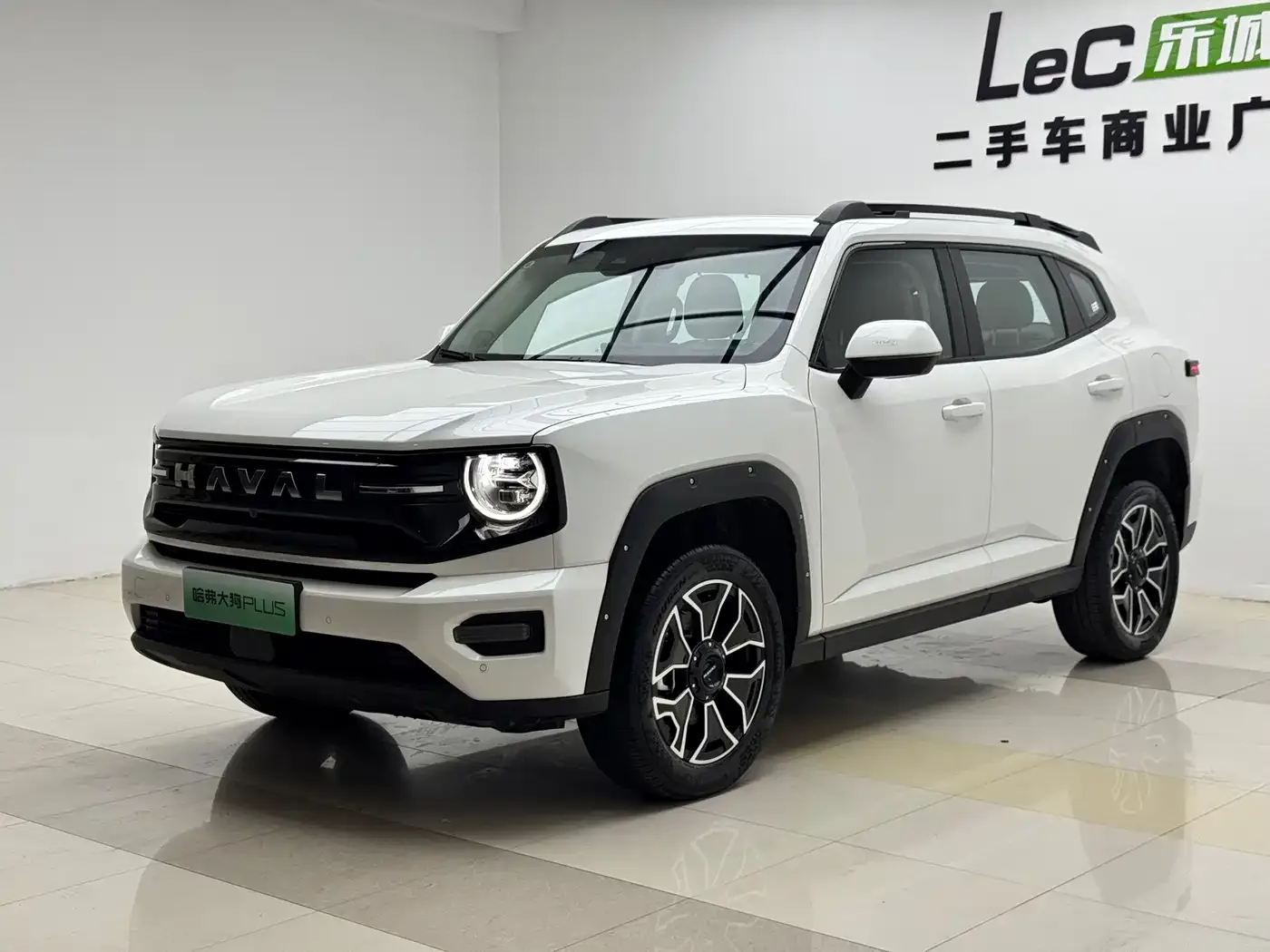 Haval Second-Generation Big Dog New Energy