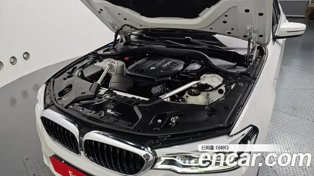 BMW 5 (G30) 520d xDrive M, миниатюра 4