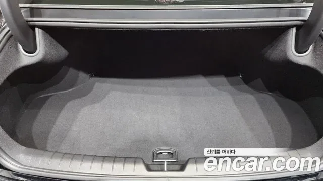Hyundai Grandeur Calligraphy, миниатюра 13
