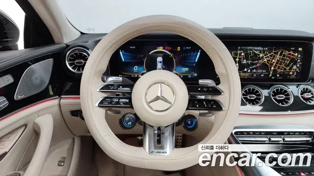 Mercedes-Benz AMG GT 4 43 4MATIC+, миниатюра 26