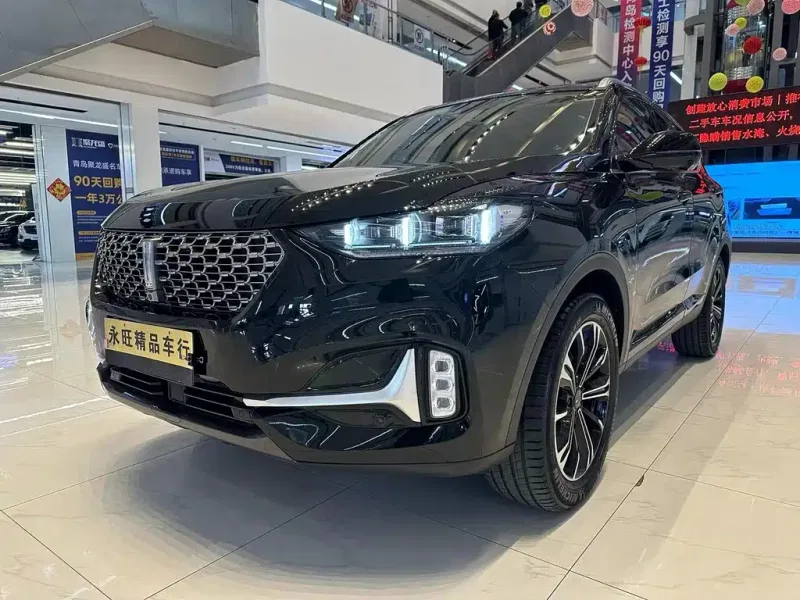 WEY VV6