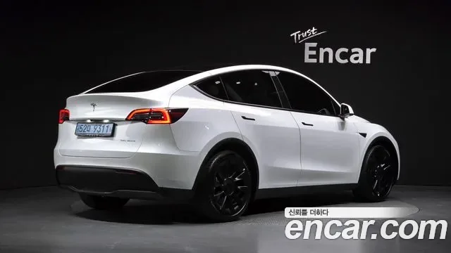 Tesla Y AWD, миниатюра 20