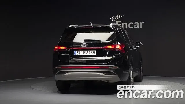 Hyundai Santa FE дизель 2.2 2WD Premium, миниатюра 19