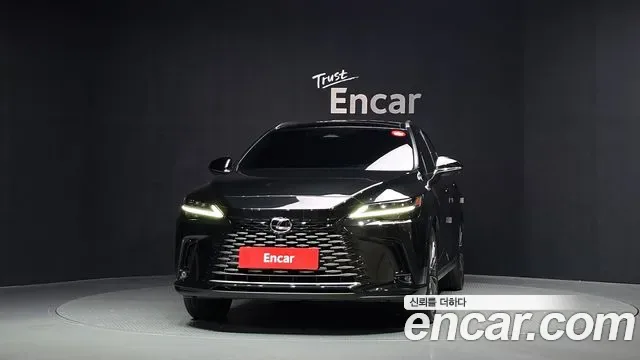 Lexus RX, миниатюра 30