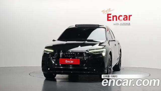 Audi e-, миниатюра 25