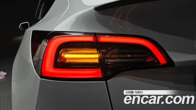 Tesla Y AWD, миниатюра 10