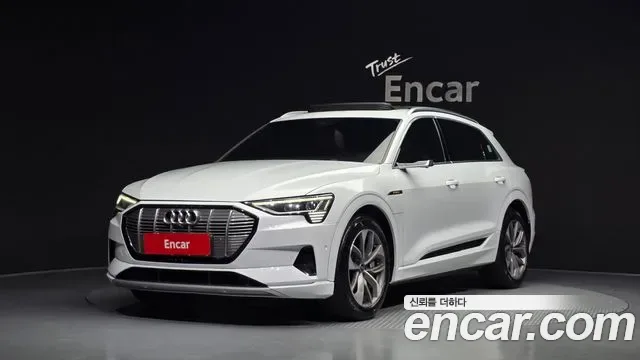 Audi e-
