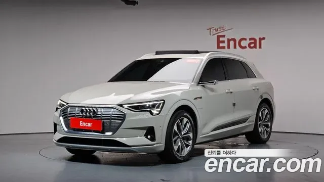 Audi e-