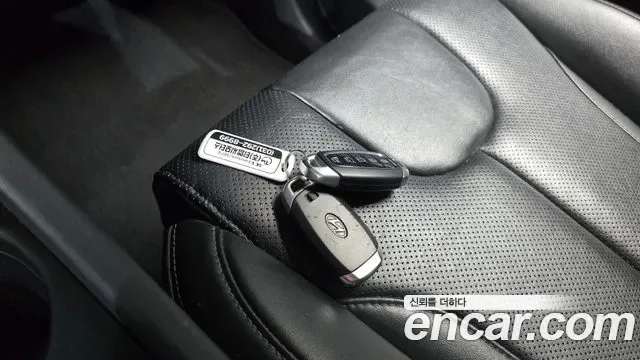 Hyundai Santa FE дизель 2.2 2WD Premium, миниатюра 19
