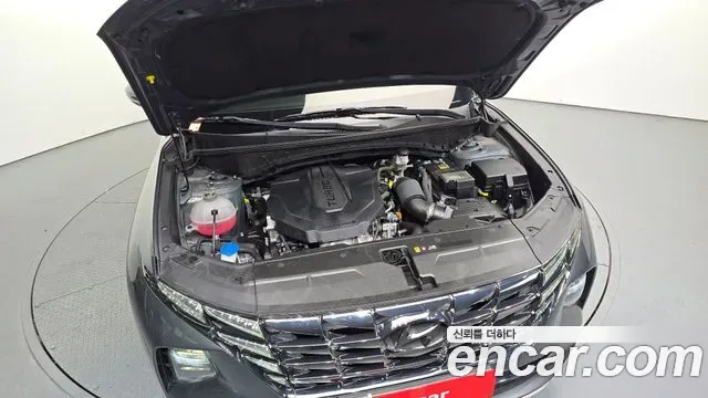 Hyundai TUCSON дизель 2.0 2WD Inspiration, миниатюра 16