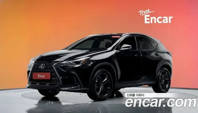 Lexus NX Premium, миниатюра 16