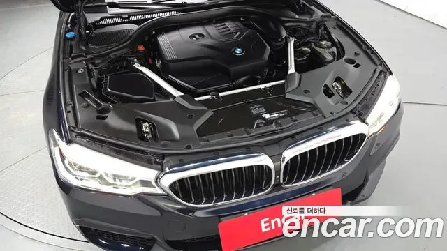BMW 5 (G30) 530i M, миниатюра 10