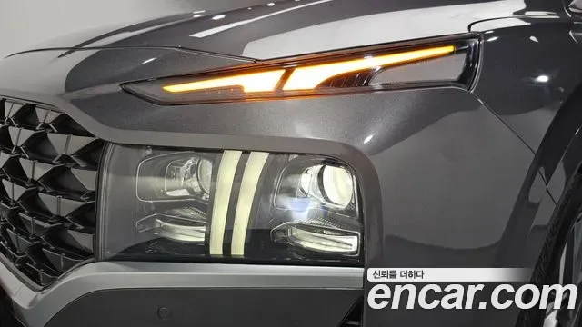 Hyundai Santa FE дизель 2.2 2WD Calligraphy, миниатюра 6