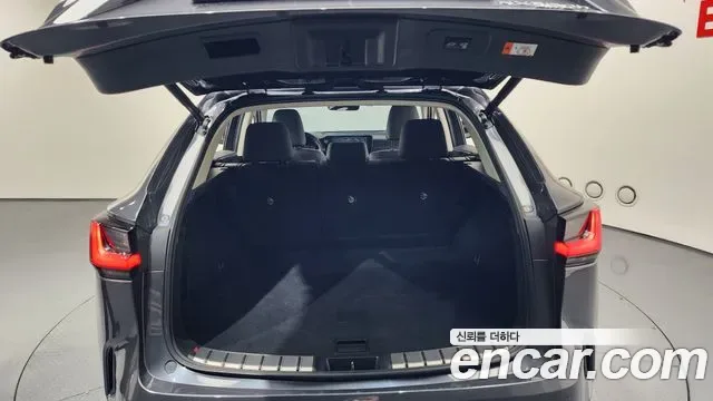 Lexus NX Premium, миниатюра 18