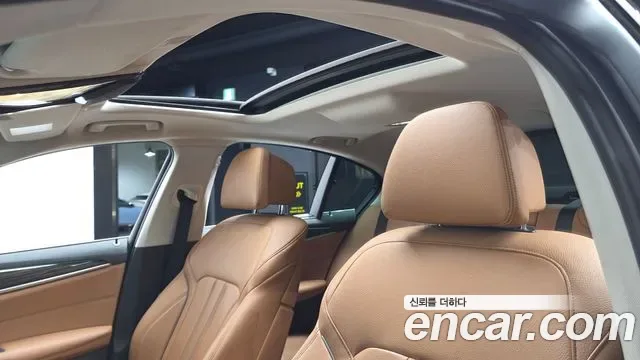 BMW 5 (G30) 520i, миниатюра 18
