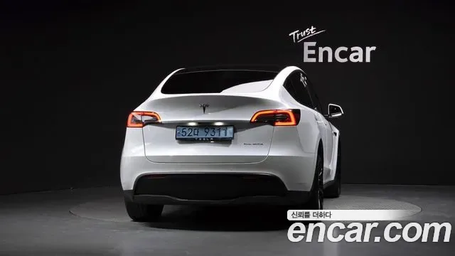 Tesla Y AWD, миниатюра 17