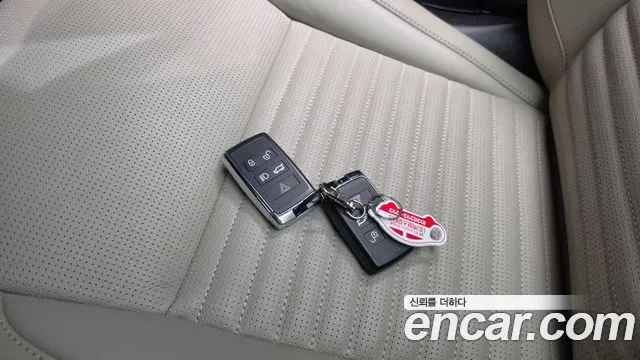 Land Rover Discovery P250 S, миниатюра 19