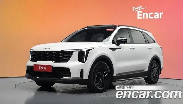 Kia Sorento HEV 1.6 2WD Gravity, миниатюра 25