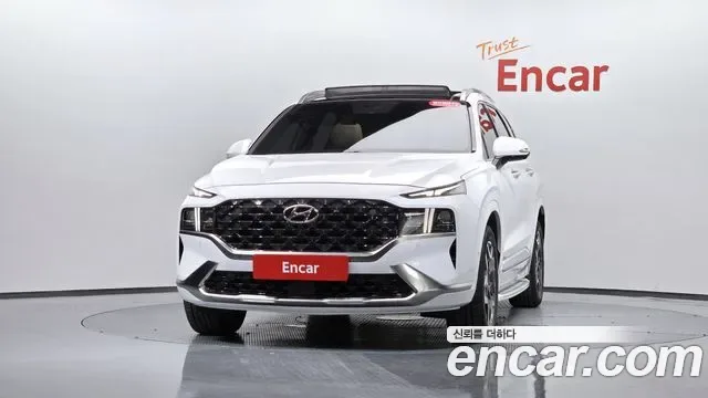 Hyundai Santa FE HEV 1.6 2WD Calligraphy, миниатюра 18