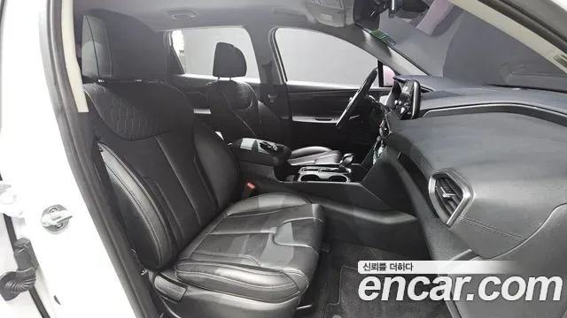 Hyundai Santa FE дизель 2.0 2WD Premium, миниатюра 12