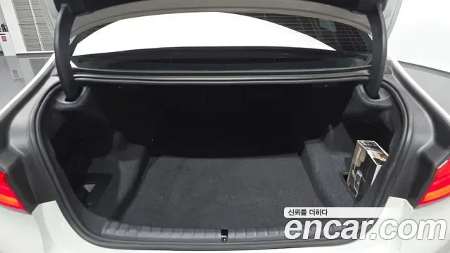 BMW 5 (G30) 520i M, миниатюра 21
