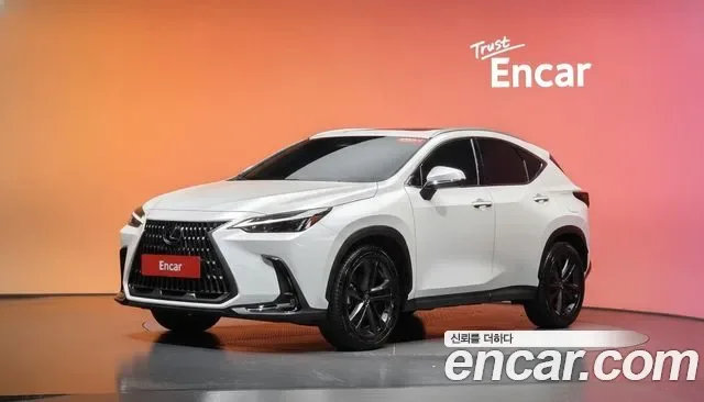Lexus NX Premium, миниатюра 26