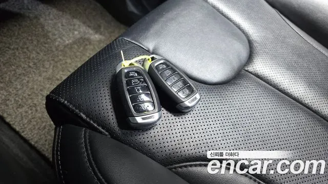 Hyundai Santa FE дизель 2.0 2WD Premium, миниатюра 19