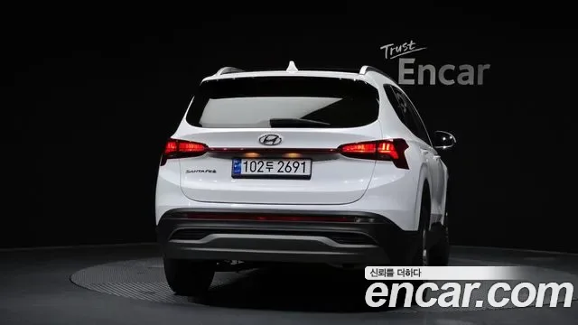 Hyundai Santa FE дизель 2.2 2WD Premium, миниатюра 14