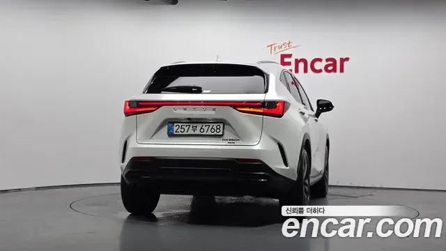 Lexus NX Premium, миниатюра 16