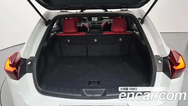 Lexus UX 2.0 F-Sport 2WD, миниатюра 13