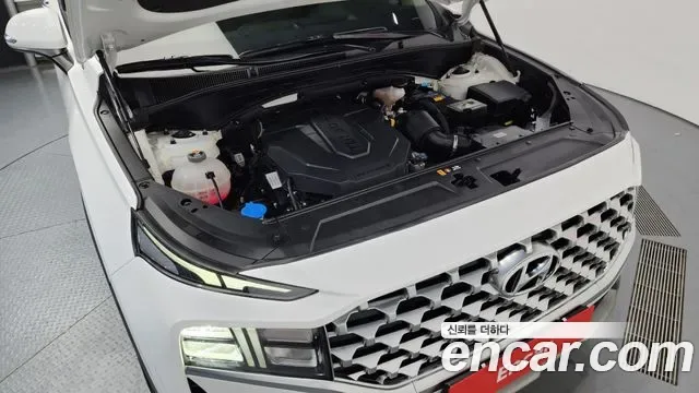 Hyundai Santa FE дизель 2.2 2WD Premium, миниатюра 8