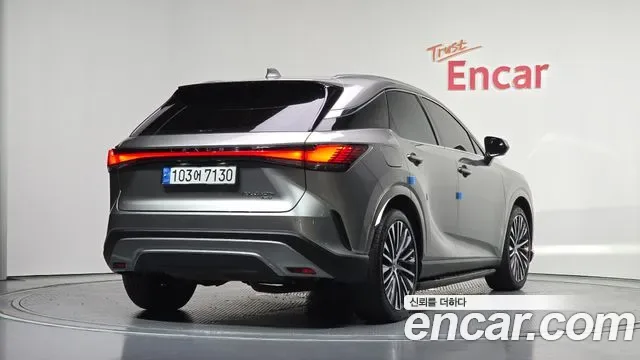 Lexus RX, миниатюра 8