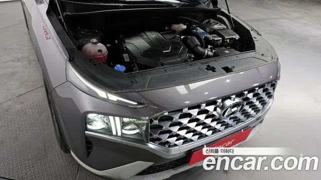 Hyundai Santa FE дизель 2.2 2WD Prestige, миниатюра 12