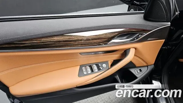 BMW 5 (G30) 520i, миниатюра 19