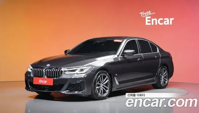 BMW 5 (G30) 520i M, миниатюра 28