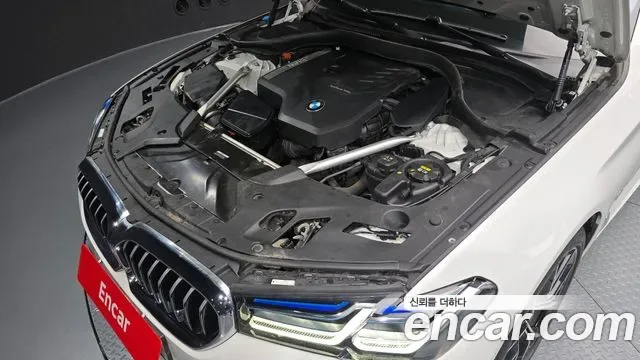 BMW 5 (G30) 530i M, миниатюра 19