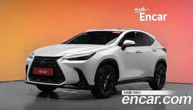 Lexus NX Premium, миниатюра 8