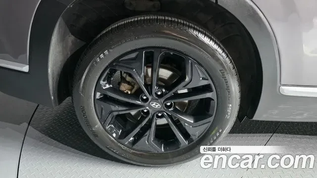 Hyundai Santa FE дизель 2.0 2WD Prestige, миниатюра 7